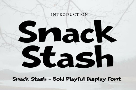 Snack Stash: A Bold Display Font That Elevates Digital Branding